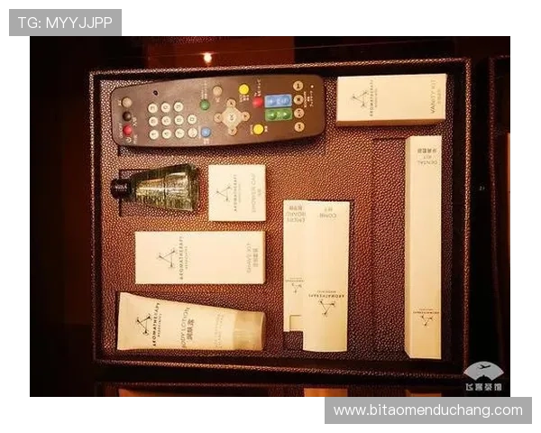 澳门总统电脑版官网下载安装教程，详细步骤让你快速上手
